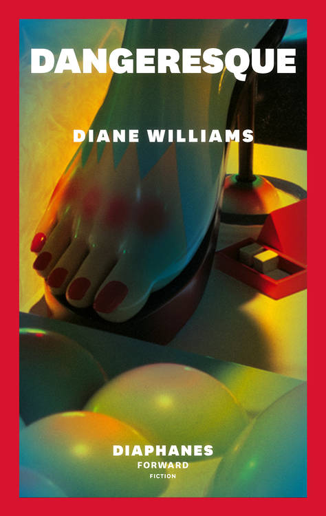 Diane Williams: Dangeresque
